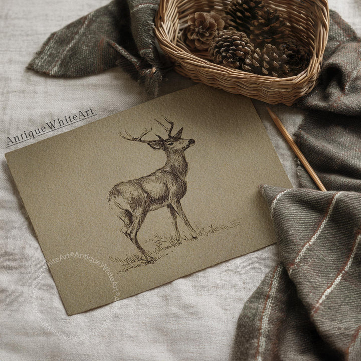 Vintage Style Deer Drawing: Farmhouse Christmas Wall Art Rustic Home Decor ( ) W212 Print