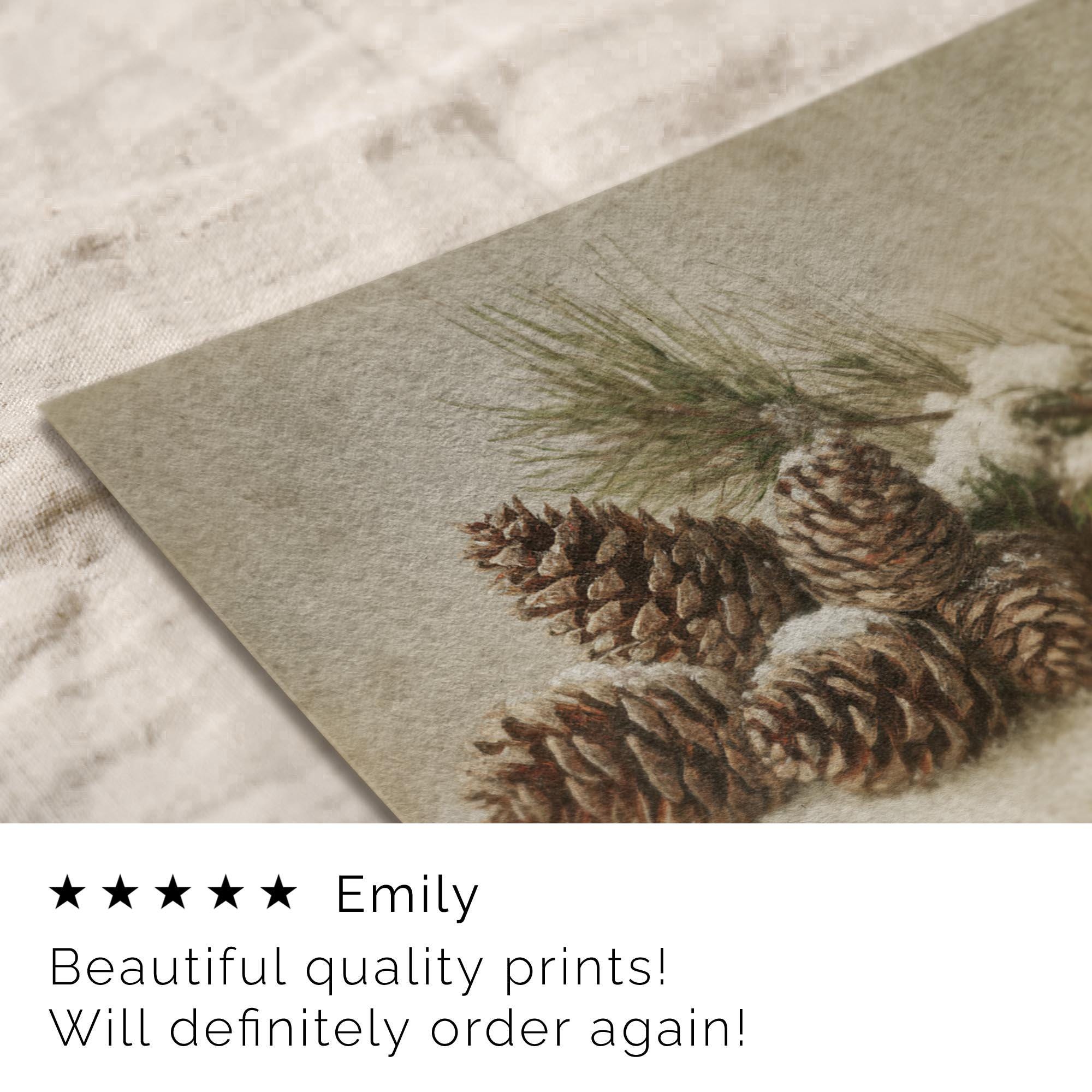 Vintage Style Botanical Christmas Wall Art: Pinecone Rustic Oil Painting ( ) W218 Print Art